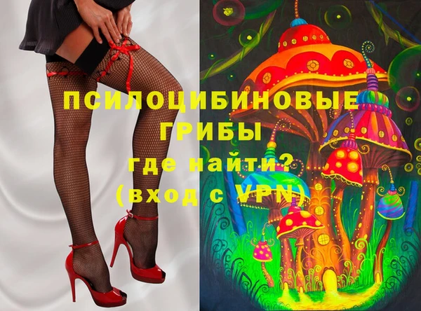 индика Алексеевка