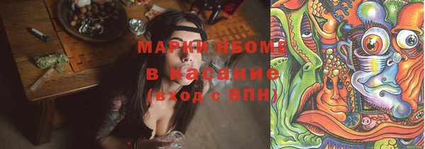 бошки Алексин