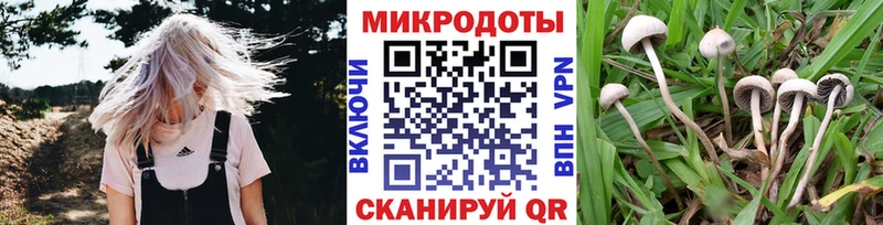 Галлюциногенные грибы MAGIC MUSHROOMS Дубна