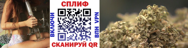 как найти   Дубна  Бошки Шишки марихуана 